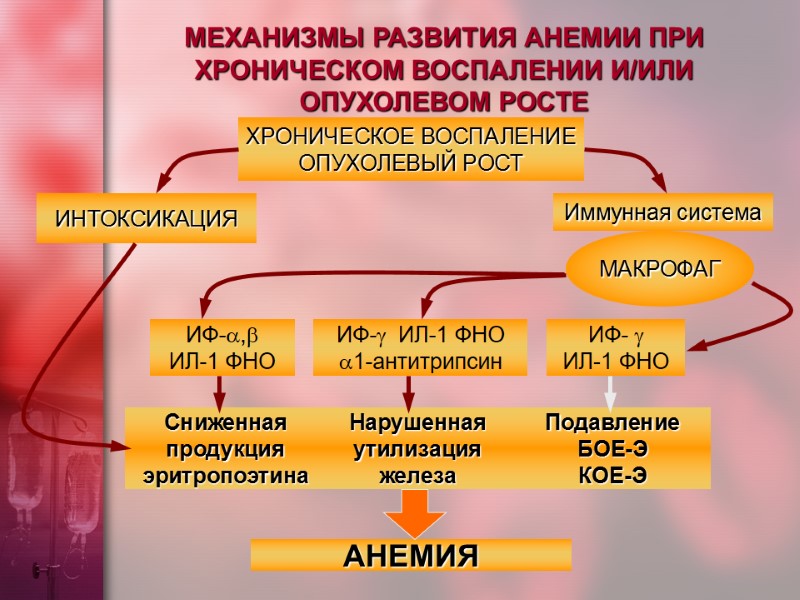 МЕХАНИЗМЫ РАЗВИТИЯ АНЕМИИ ПРИ ХРОНИЧЕСКОМ ВОСПАЛЕНИИ И/ИЛИ ОПУХОЛЕВОМ РОСТЕ ХРОНИЧЕСКОЕ ВОСПАЛЕНИЕ ОПУХОЛЕВЫЙ РОСТ ИНТОКСИКАЦИЯ